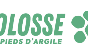 Invitation – Sensibilisation aux violences dans le sport